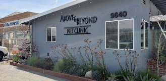 Above & Beyond Pet Care Clinic